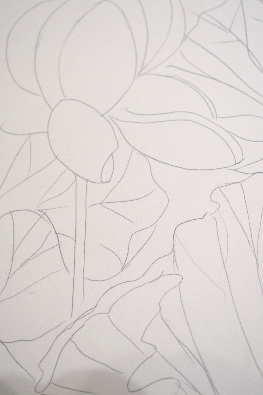 lotus